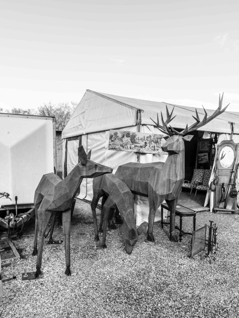 quinconce automne 2025 00005